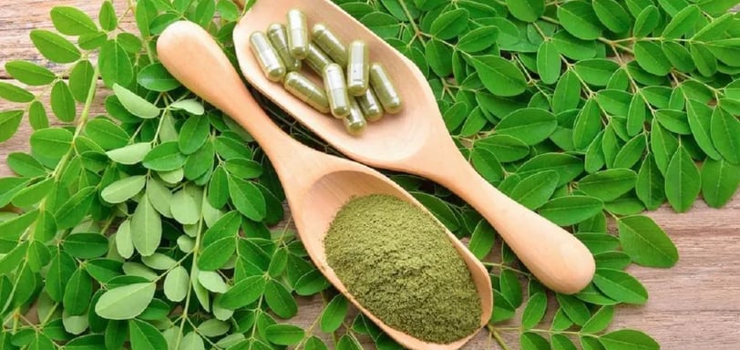 Moringa em Pó: O Que É, Para Que Serve, Benefícios