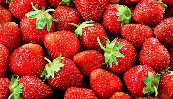 Morango: A Fruta Queridinha da Saúde — Vitaminas, Benefícios, Tipos e Como Incluir na Rotina Fitness