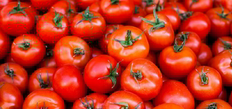 Tomate: Benefícios, Vitaminas, Tipos e Por Que Esse Alimento é um Aliado da Saúde