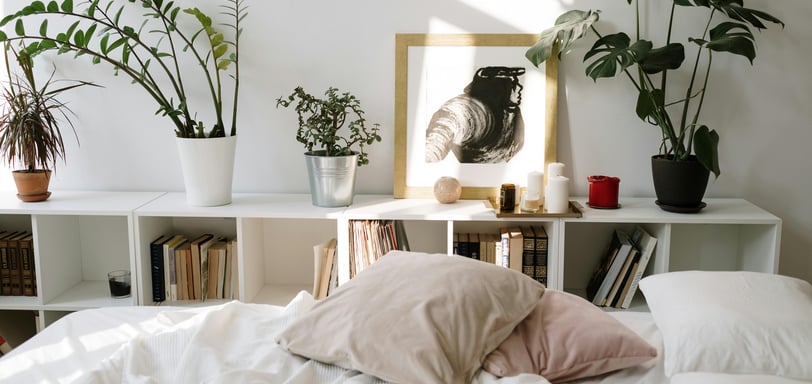 Modern bedroom with vibrant plants adding a fresh natural vibe.