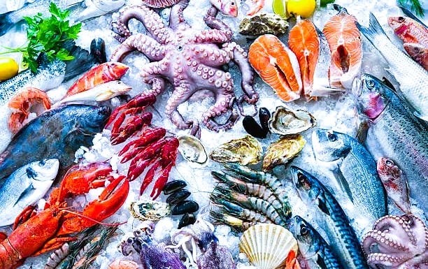 Seafood