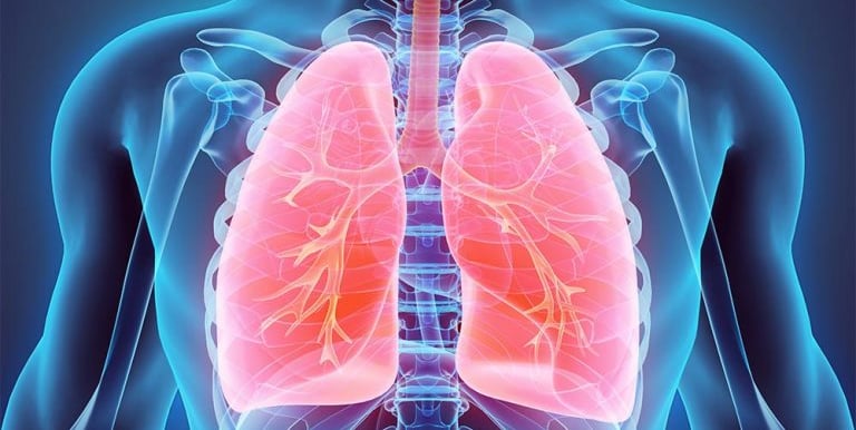 Chronic Lower Respiratory Disorders