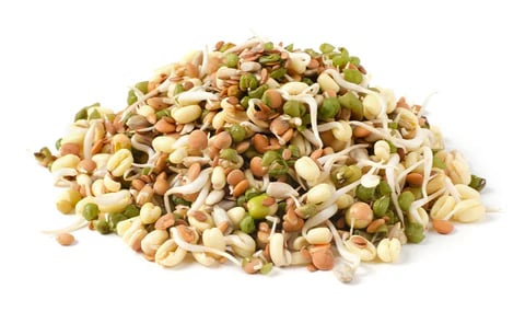 A variety of sprouted grains, seeds, and legumes including Bajra, Barley, Wheat, Maize, Ragi, Alfalf