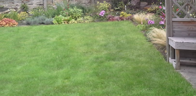 traditional mixed planting in a border