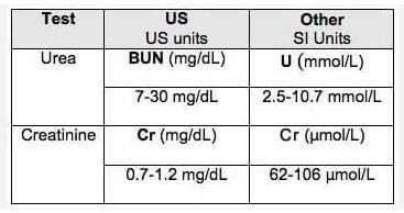 Urea and Creatinine