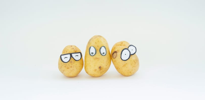 About 5i Behaviour Consulting