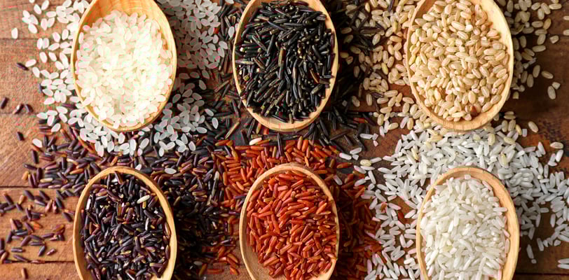 Arroz é Saudável? Conheça os Tipos, Benefícios e Como Escolher o Melhor para a Sua Saúde