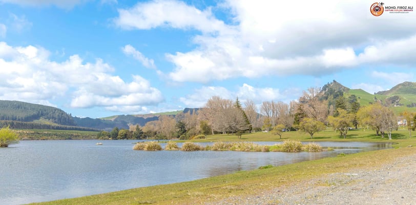 A serene lakeside in Tokoroa, New Zealand, featuring calm waters and lush greenery.