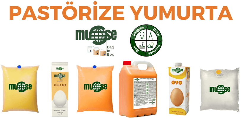 Pastörize Yumurta