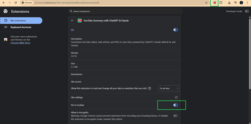 youtube summary settings
