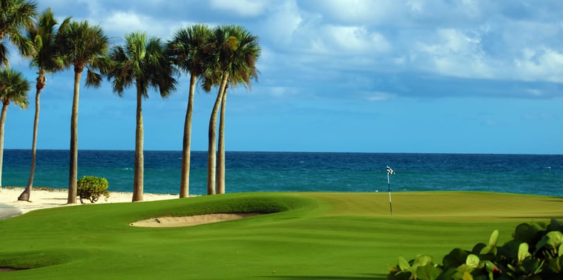 Oceanfront golf hole with palm trees and blue sea in the Dominican Republic