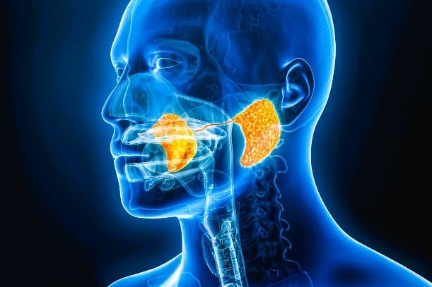 salivary gland disorder