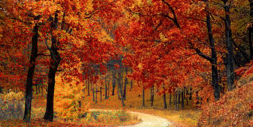 Mejores destinos en otoño en Estados Unidos