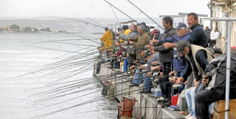 The October fish run of sea bream