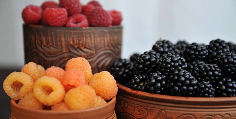 Framboesa: A Fruta Antioxidante que Combate Inflamações e Rejuvenesce por Dentro