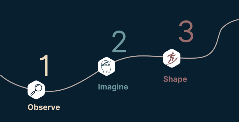 the three steps of the individual coaching program, observe, imagine, shape