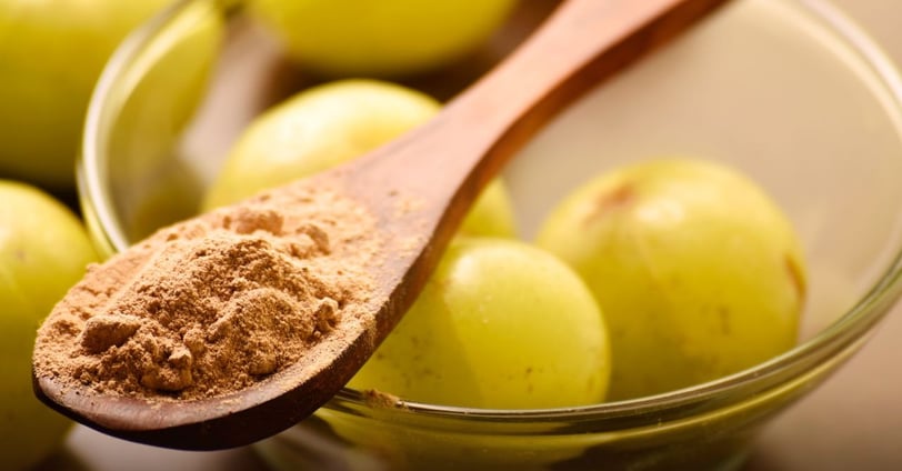 a spoon full of powdered amla powder and amla