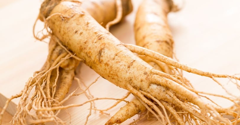 ginseng root