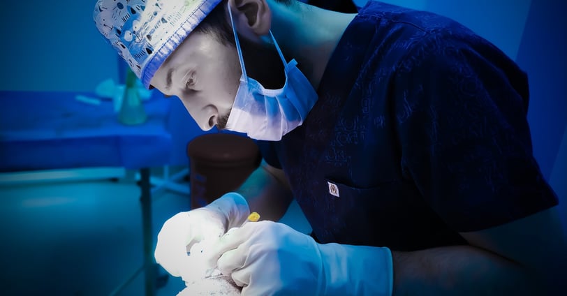 Hair transplant operation in Turkey