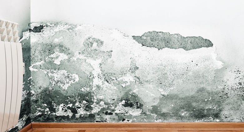interior moisture damagr to wall, gradual damage, Independant insurance assessor