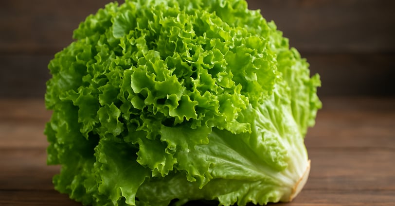 Why Organic Lettuce Is Healthier and Fresher for Daily Meals