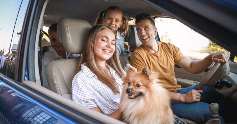 Imagem de pessoas felizes com seu cachorro dentro do carro com janela aberta