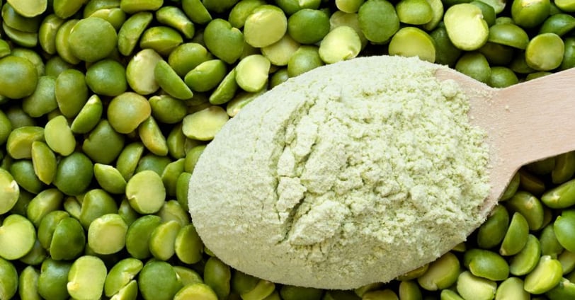 Proteína da Ervilha: Tudo Sobre Esse Suplemento Vegetal que Ganha Espaço nas Dietas Saudáveis