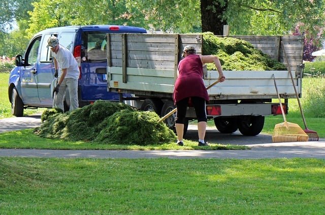 Landscaping SEO in Cyprus: Growing Your Green Business Online