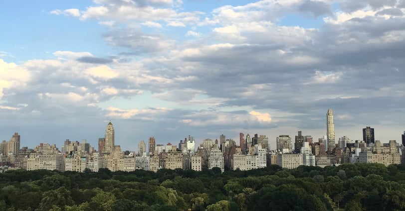 A view of Central Park and the NYC skyline