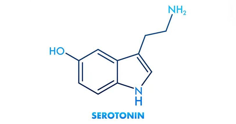 Serotonin testi, beyin ve vücut sağlığı için önemli bir nörotransmitter olan serotonin seviyelerini ölçen bir testtir.