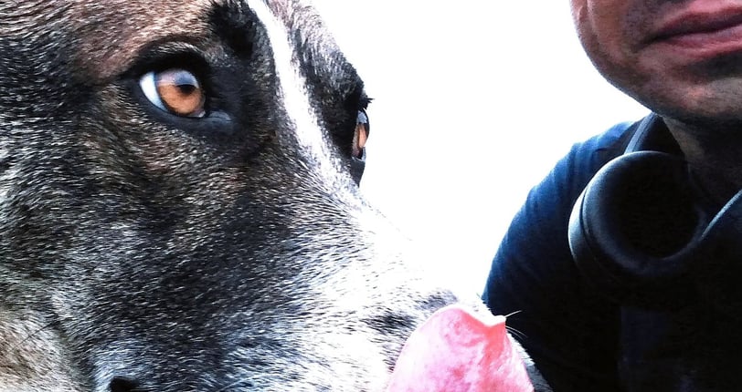 lächelnder Mann mit Brille und schwarzer Baseballkappe und Hund, der sein Gesicht leckt