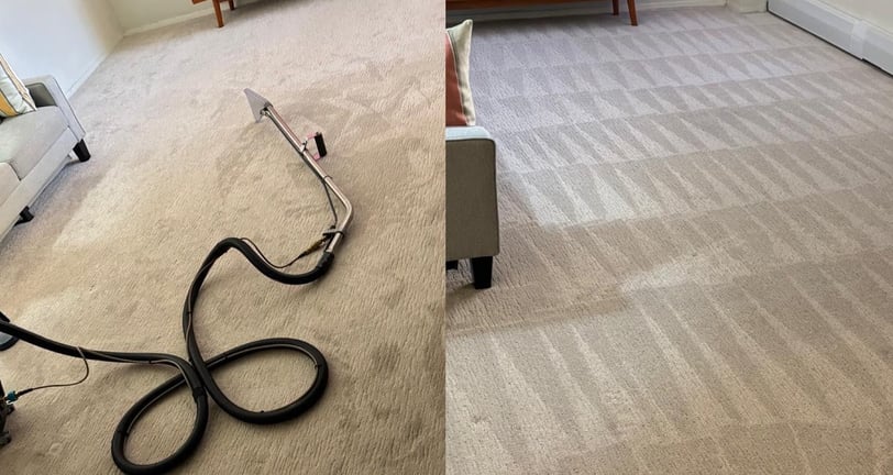 wall to wall carpet cleaning fort lauderdale