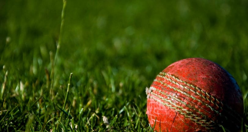 Cricket Ball