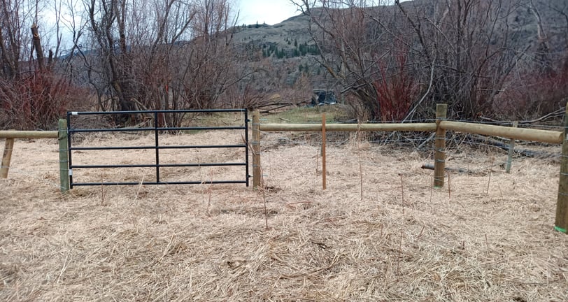 Range fence installation in conservation area to control cattle access. South Okanagan