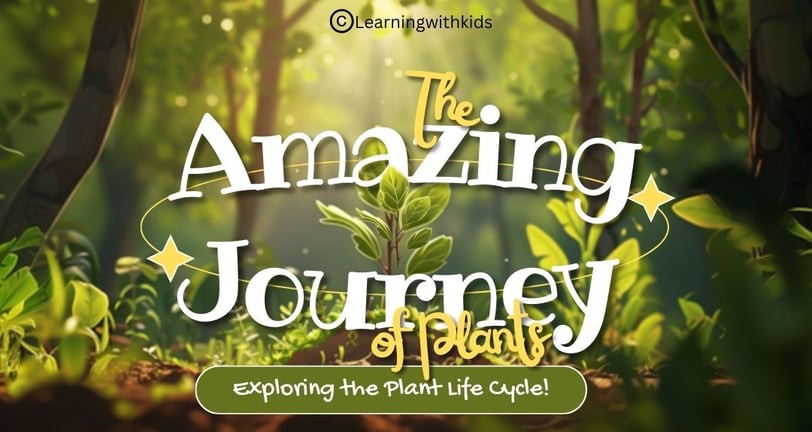 the amazing journey of plants