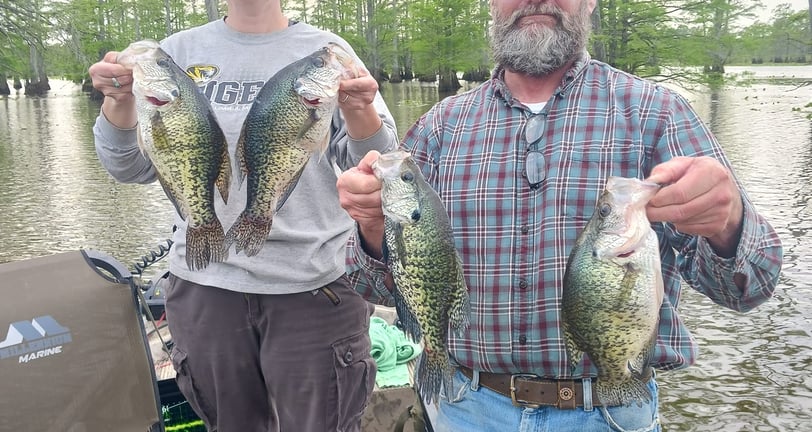 crappie fishing with jigs