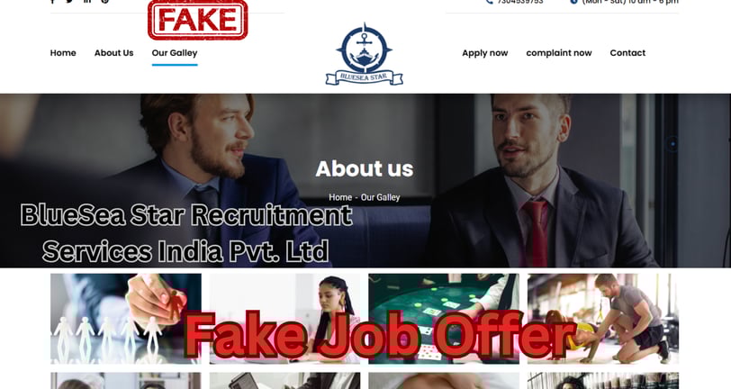 Blueseastar job offer