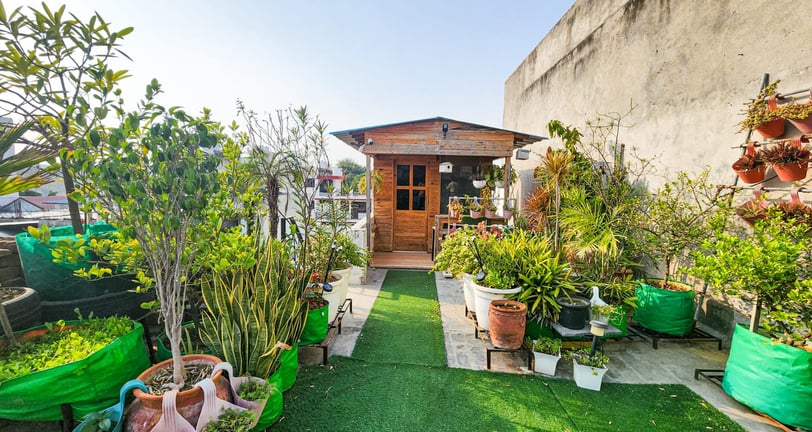 Lush rooftop garden with vibrant greenery and a cozy wooden cabin.