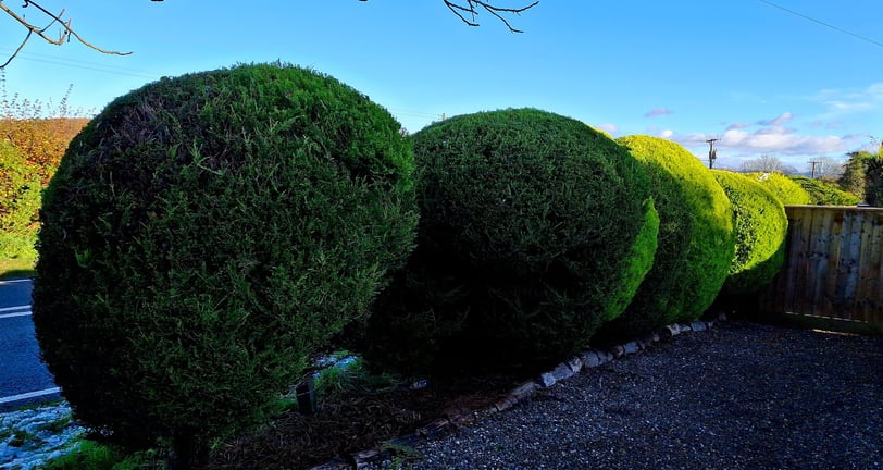 Hedge Trimming Longdon Tewkesbury