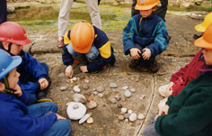 Children sorting rocks