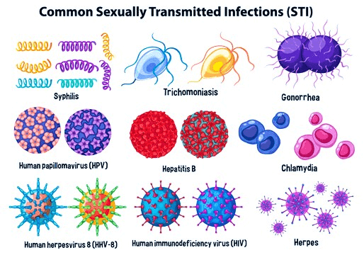 sexually transmitted diseases