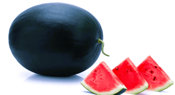 benefits Watermelon