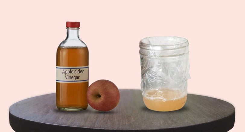 A homemade fruit fly trap using apple cider vinegar in a glass jar, designed to effectively catch fruit flies naturally