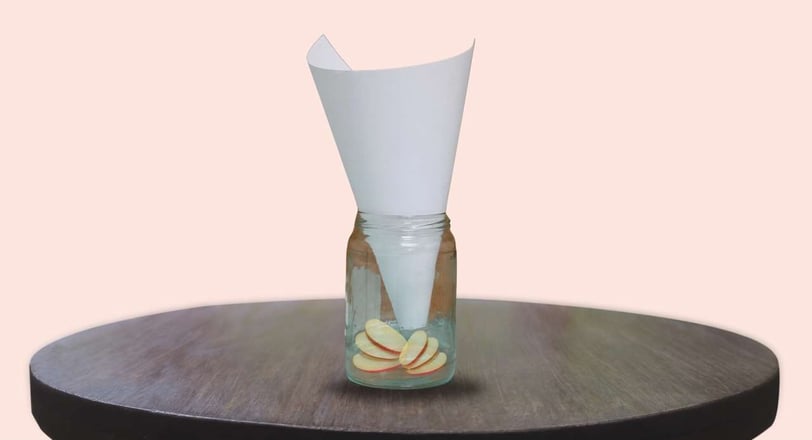 A simple DIY funnel fruit fly trap made with a bottle and bait, ideal for catching and removing fruit flies from the kitchen