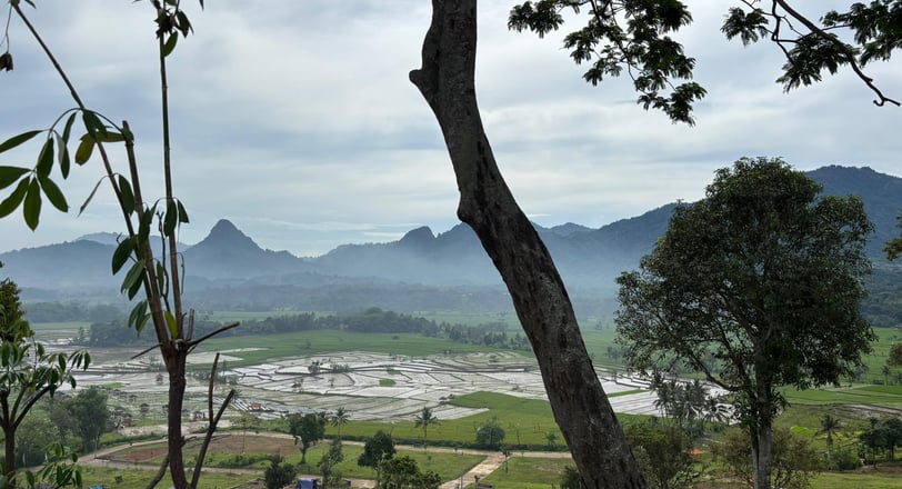 tanah kavling harga terjangkau bogor timur, kavling view gunung hanjawong, tanah kavling puncak dua bogor timur, nuansa alam