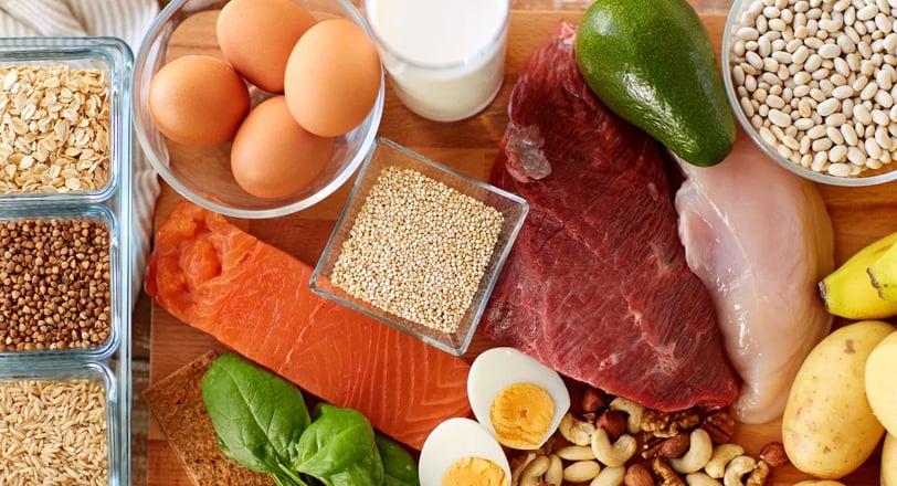 Proteínas Animais vs Proteínas Vegetais: Qual é a Melhor para a Sua Saúde e Bem-Estar