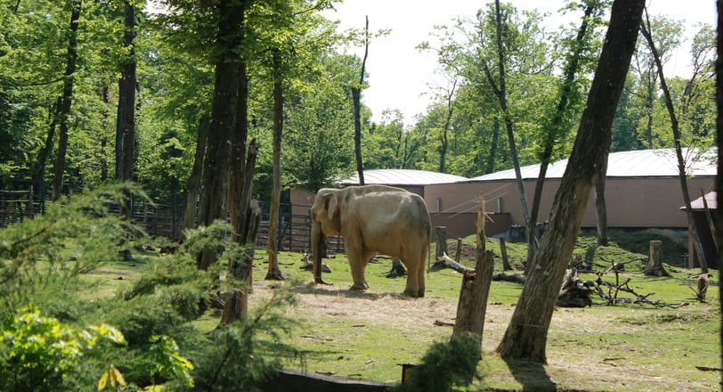 best zoos to explore