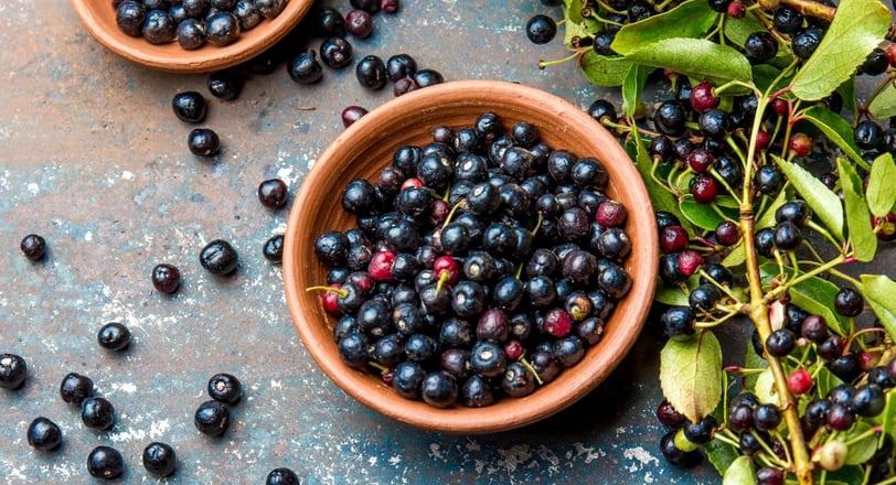 two bowls of maqui berry and leaves on a table
