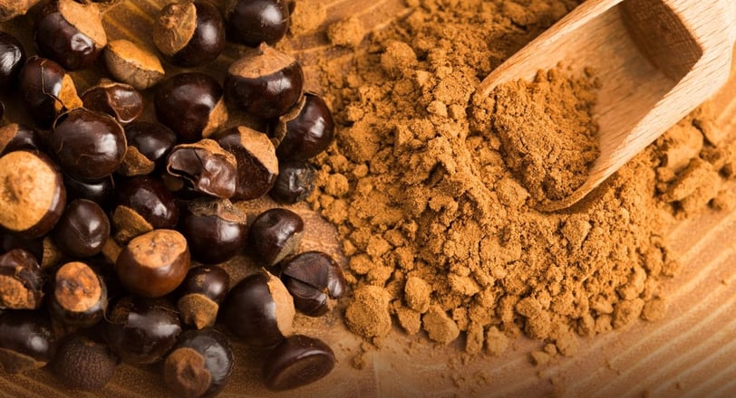 guarana powder with wooden spoon