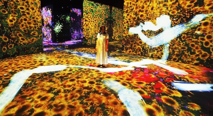 "Dreamscapes" de TeamLab